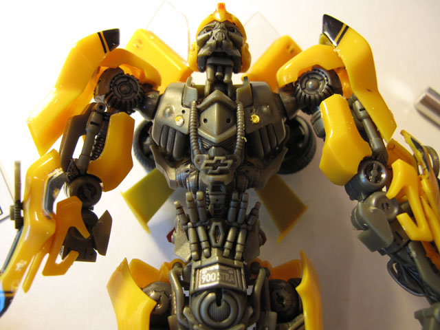 Bumblebee breast