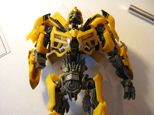Bumblebee breastplate