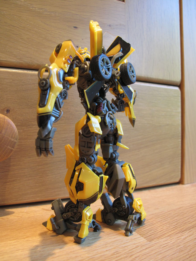 Bumblebee back