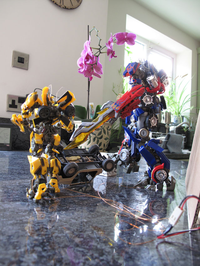 Diorama placement
