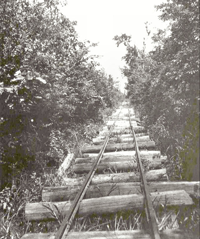 Argent Lumber Co