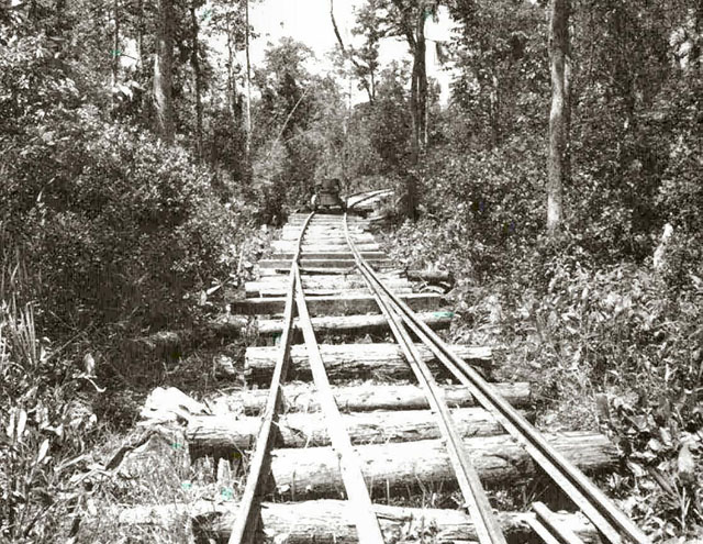 Argent Lumber Co