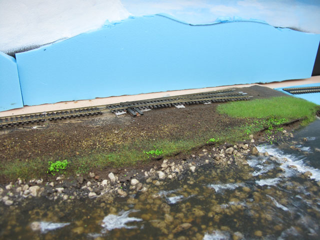 river bank scenery