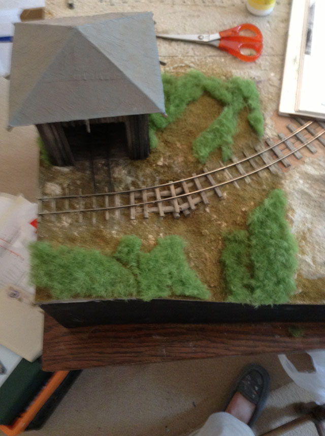 First grass layer in