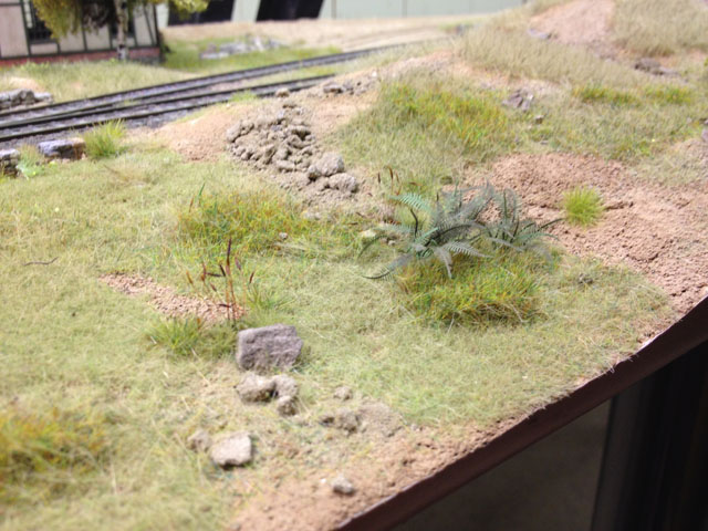 Vegetation
