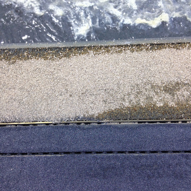 Chincilla dust