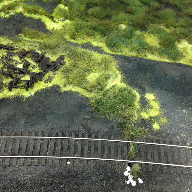 Grass