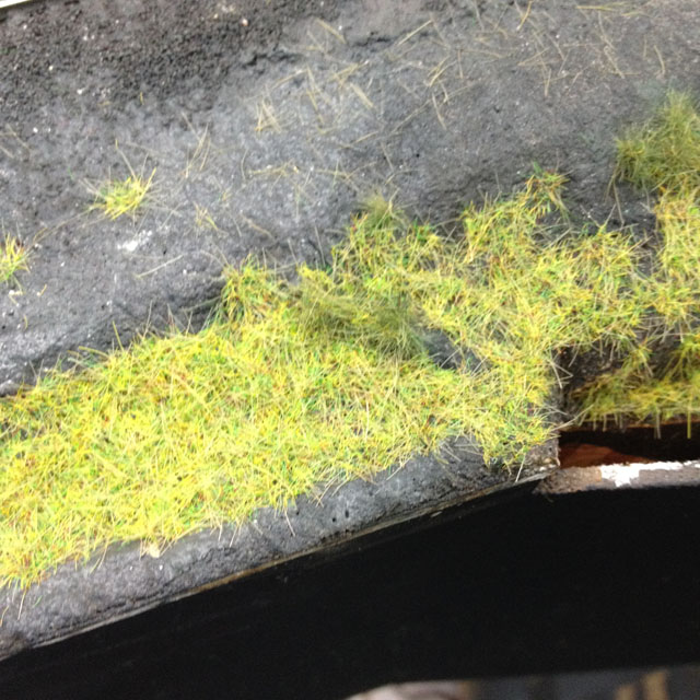grass