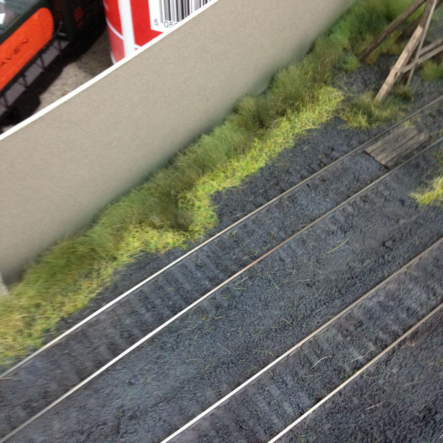 grass by roundhouse