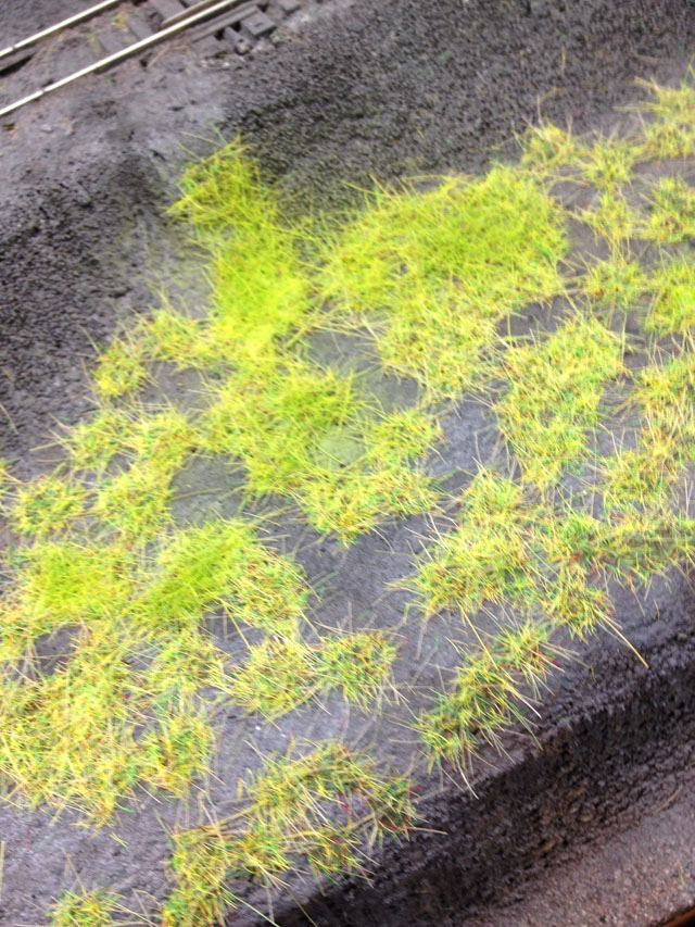 grass tufts