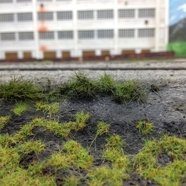 grass tufts