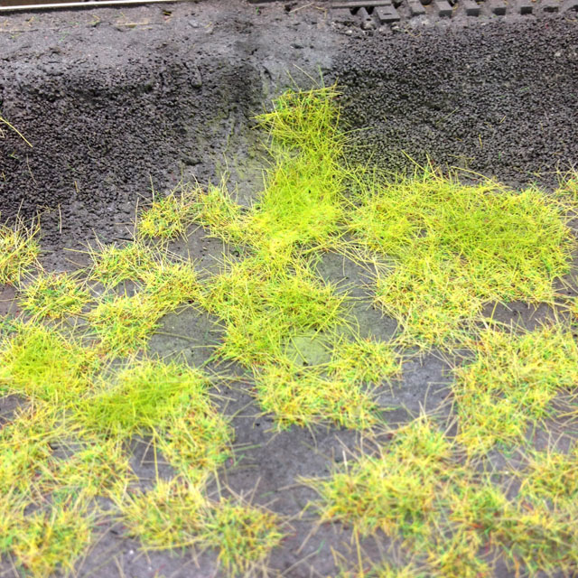 grass tufts