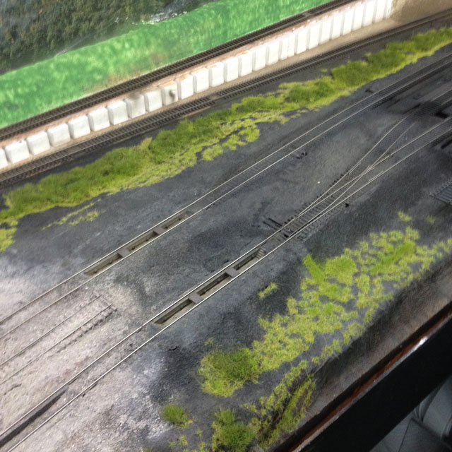 grass yard