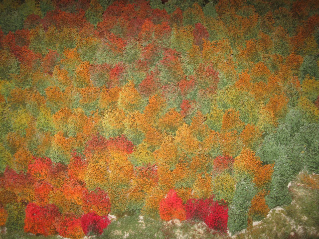 072