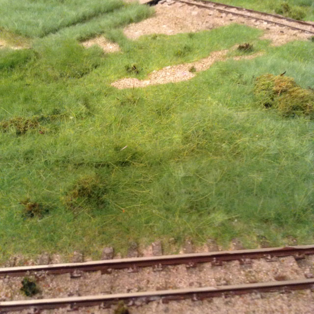 grass done