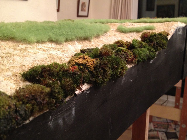 Moss