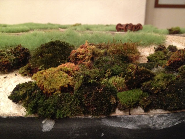 Moss