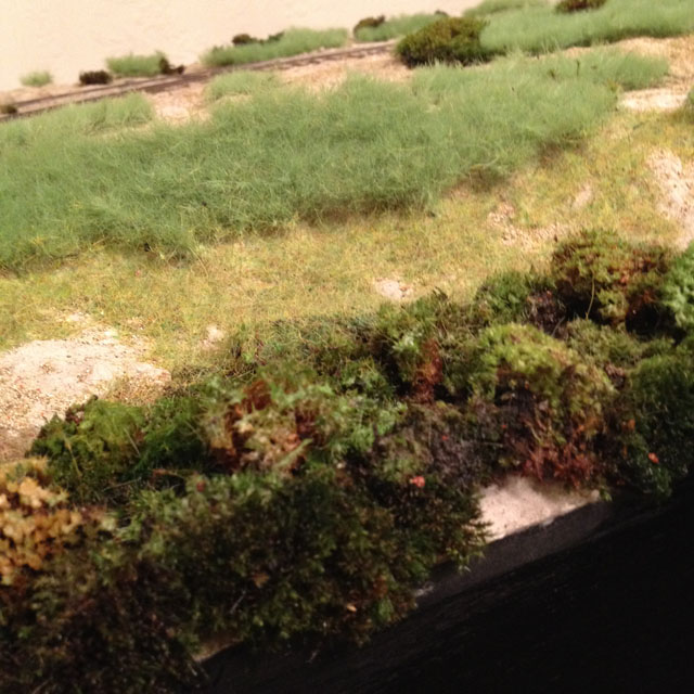 Moss