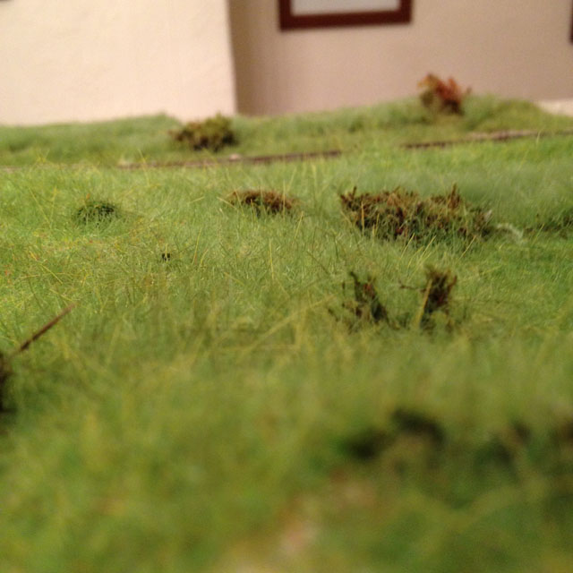 Grass