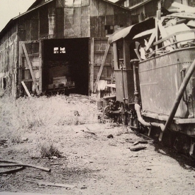 Yard