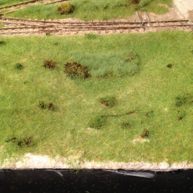 Grass