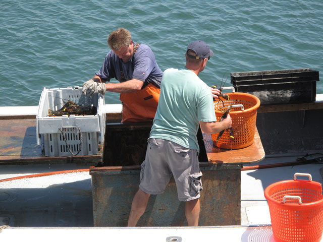 Lobster men unloading