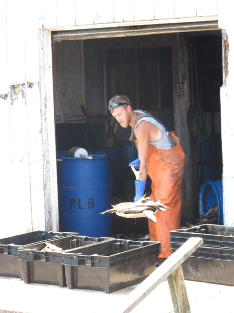 Loading bait