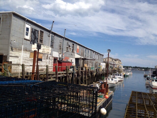 Fish harbour market
