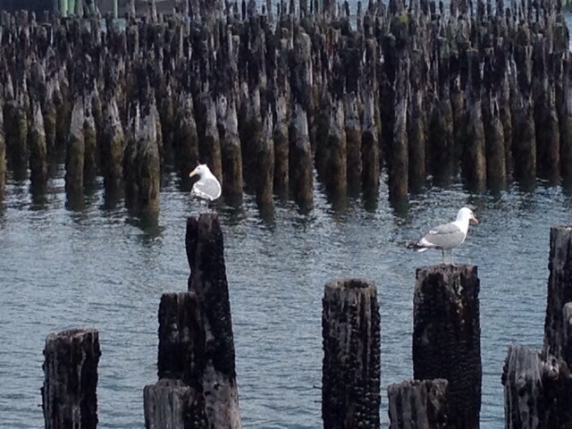 Wharf