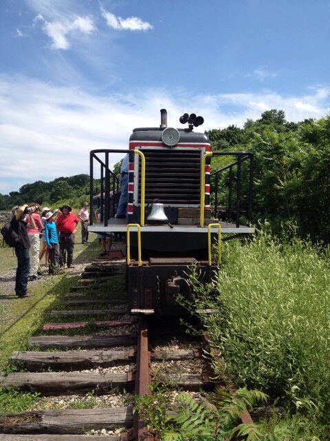 Maine Narrow Gauge loco