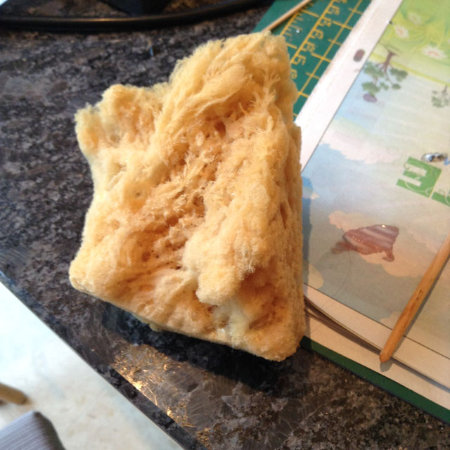 Sponge