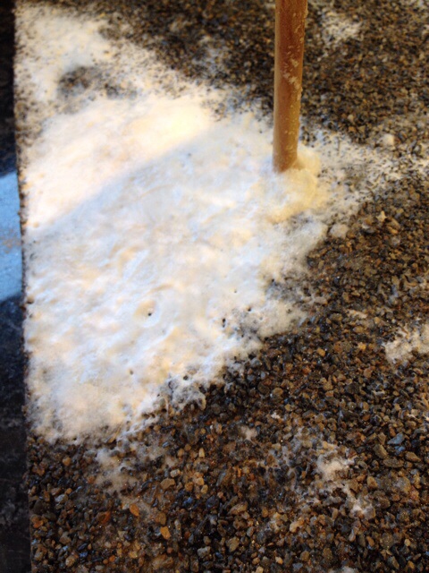 Footprints in the snow