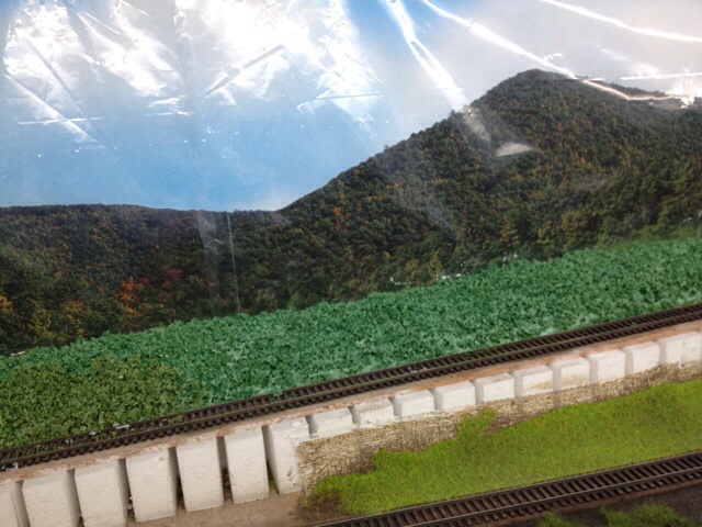 Hills and grass