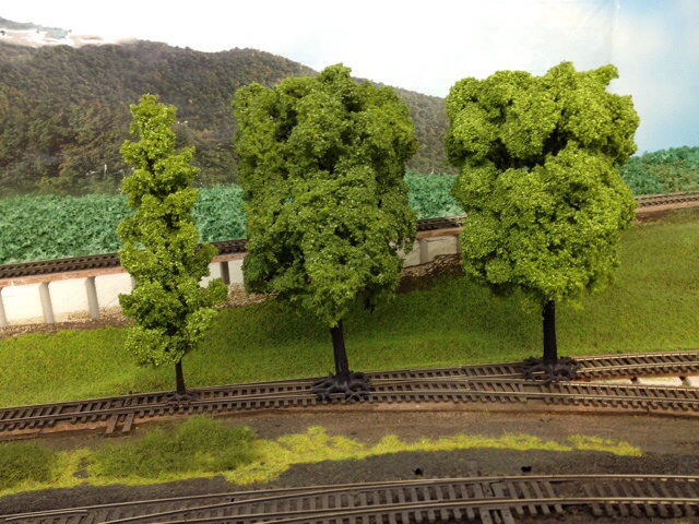Trees