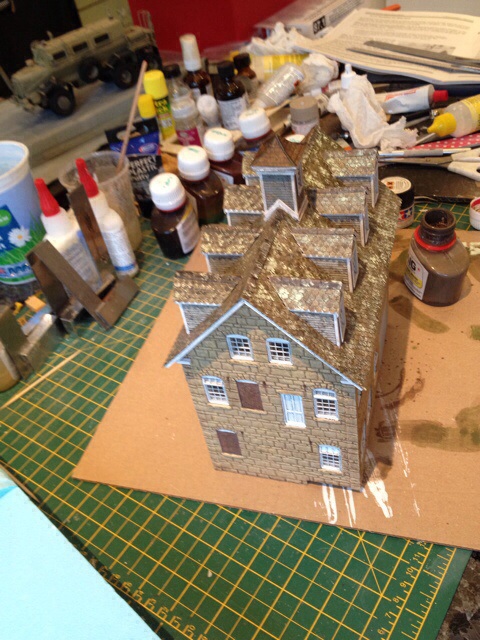 Lichen roofs