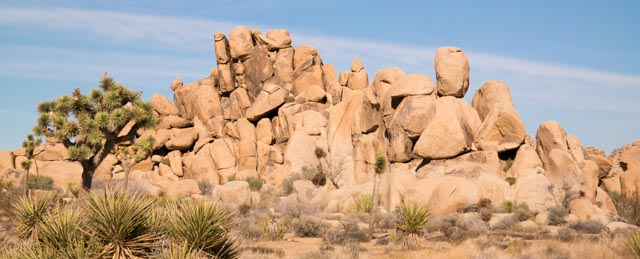 Joshua Tree National Park