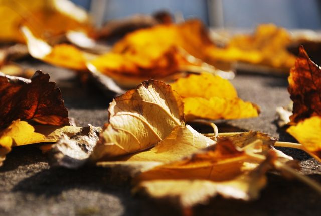 Autumn becomes winter becomes spring