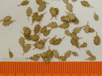 Model Scene Leaves