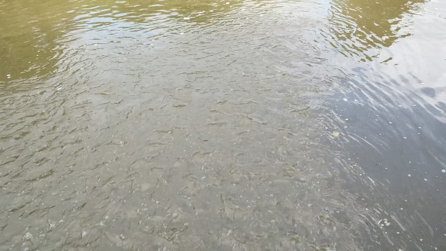 Canal at Lapworth, UK
