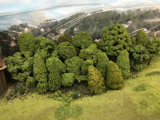 New trees