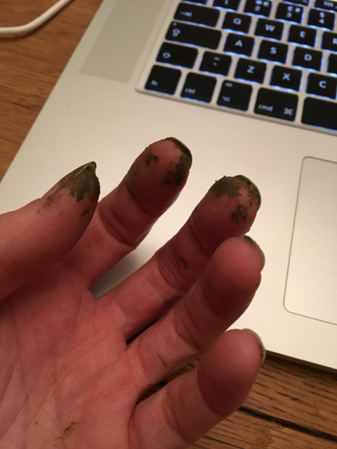 Dirty fingers