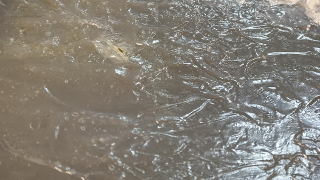 Envirotex Lite 5 yrs on