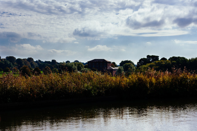 Another canal with bulrushes