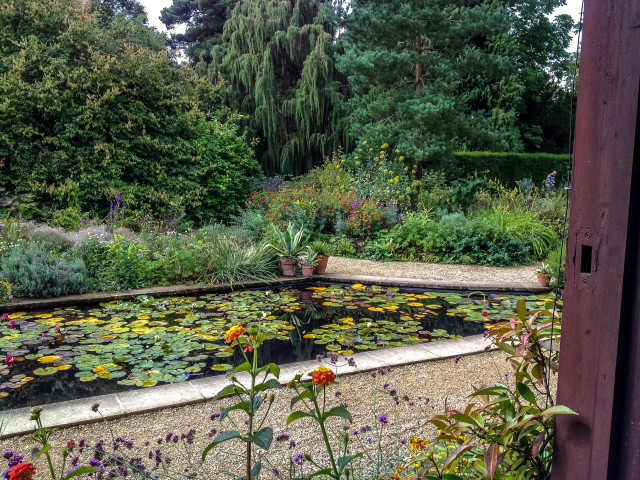 Ornamental Pond