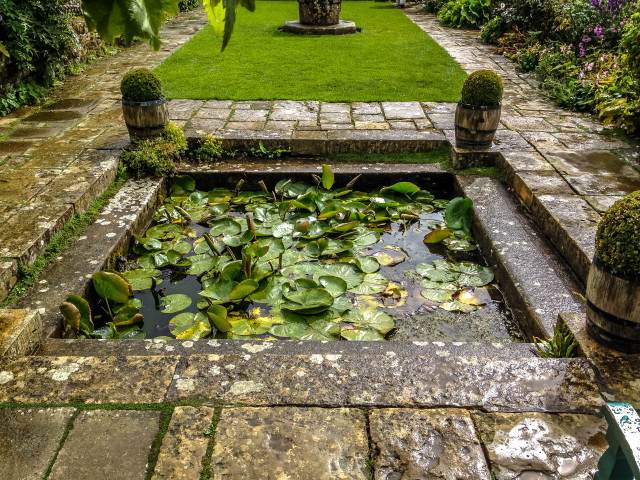 Ornamental Pond