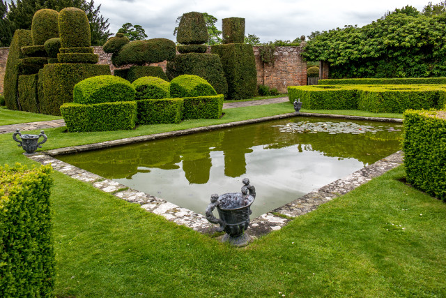 Ornamental Pond