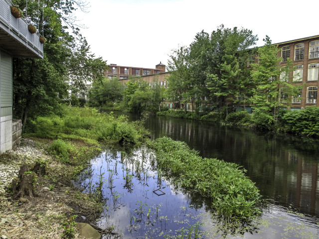 Whitinsville
