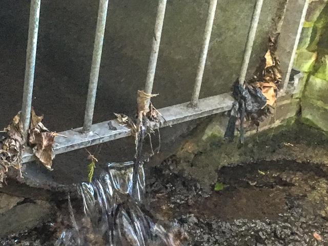 Culvert Grille