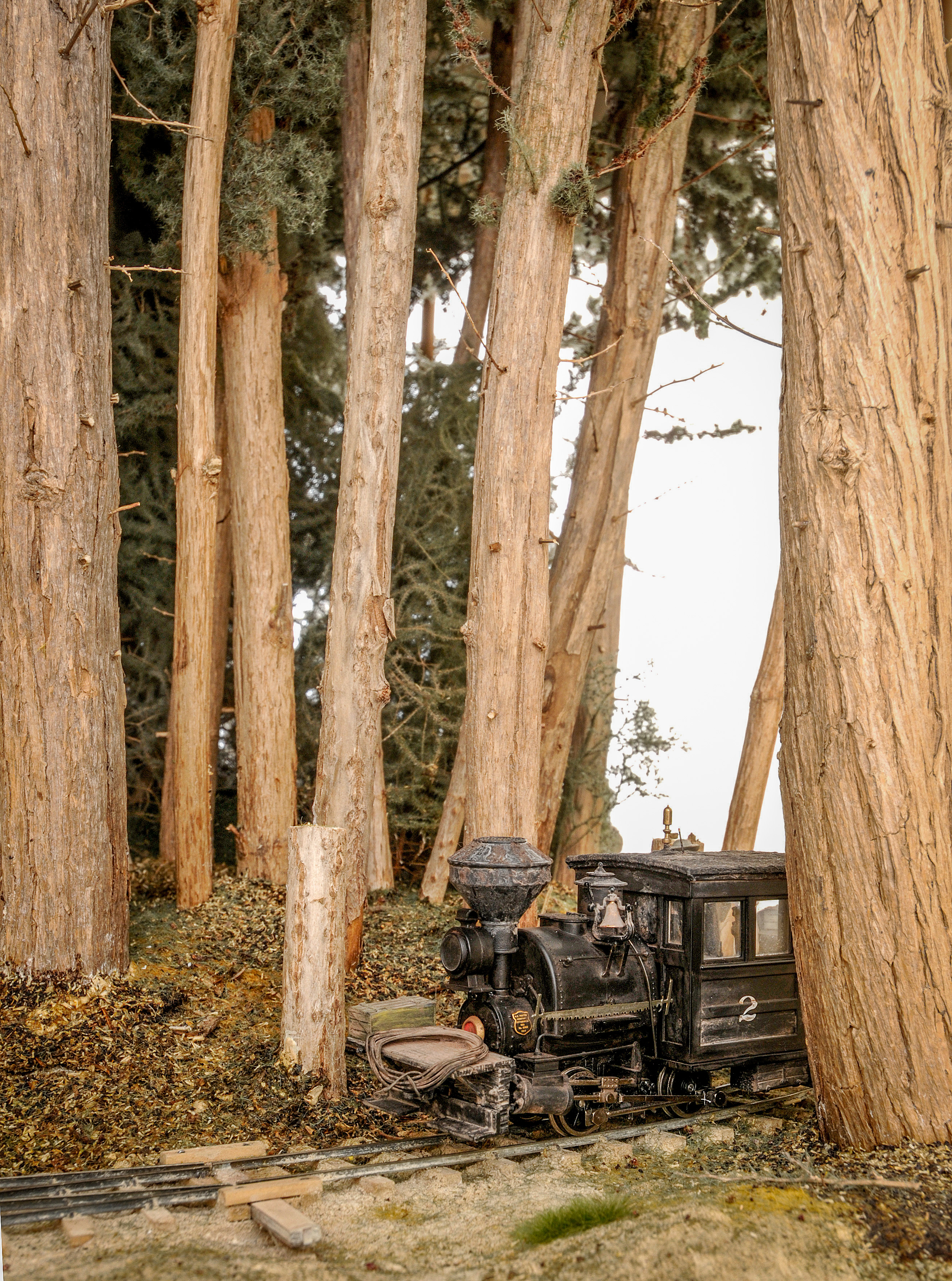 Big Trees, Small Loco
