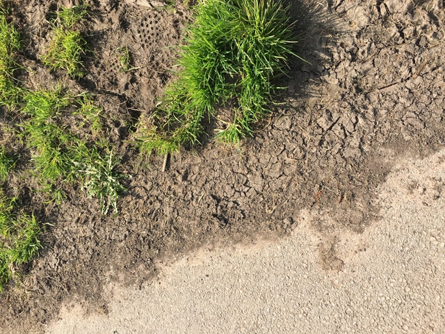 Knowle Park Cracked Earth